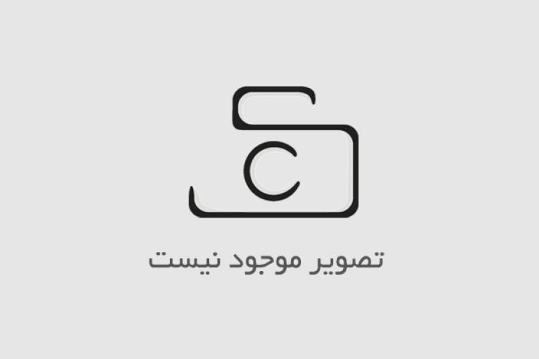 2 تن بادام زمینی - بهترین خوراک دام